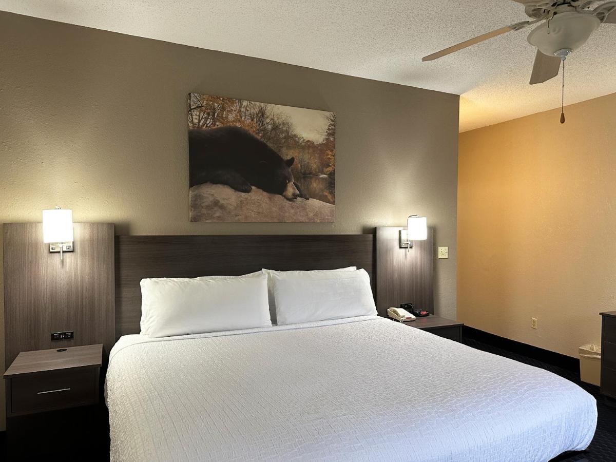 Deluxe King Room - No pets at Sidney James Mountain Lodge