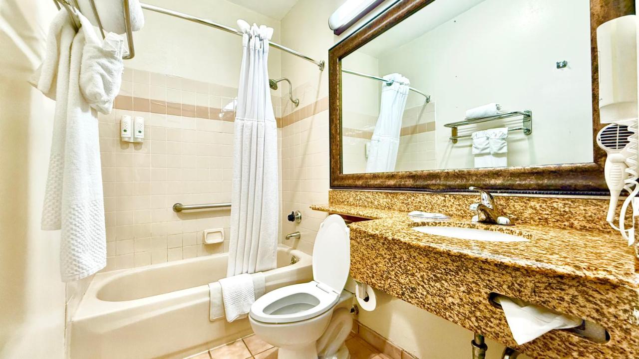 Standard Room, 1 King Bed, Non Smoking at Quality Inn & Suites Los Angeles Airport - Stadium District