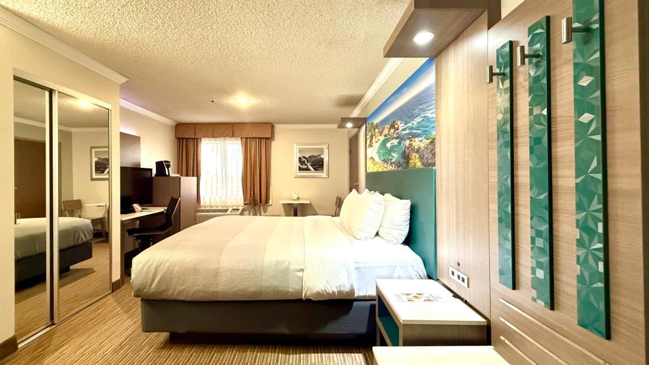 Standard Room, 1 King Bed, Non Smoking at Quality Inn & Suites Los Angeles Airport - Stadium District