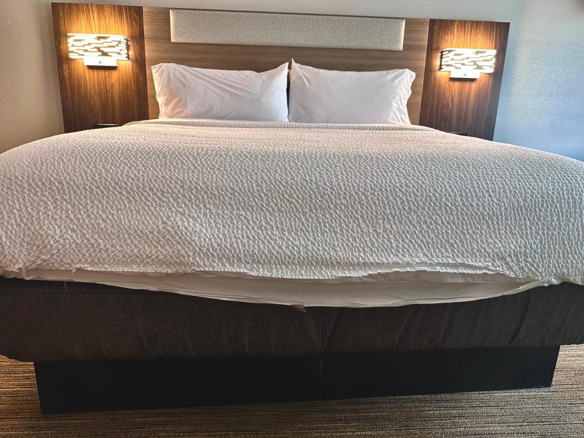  | Holiday Inn Express Hotel & Suites Hinesville, an IHG Hotel