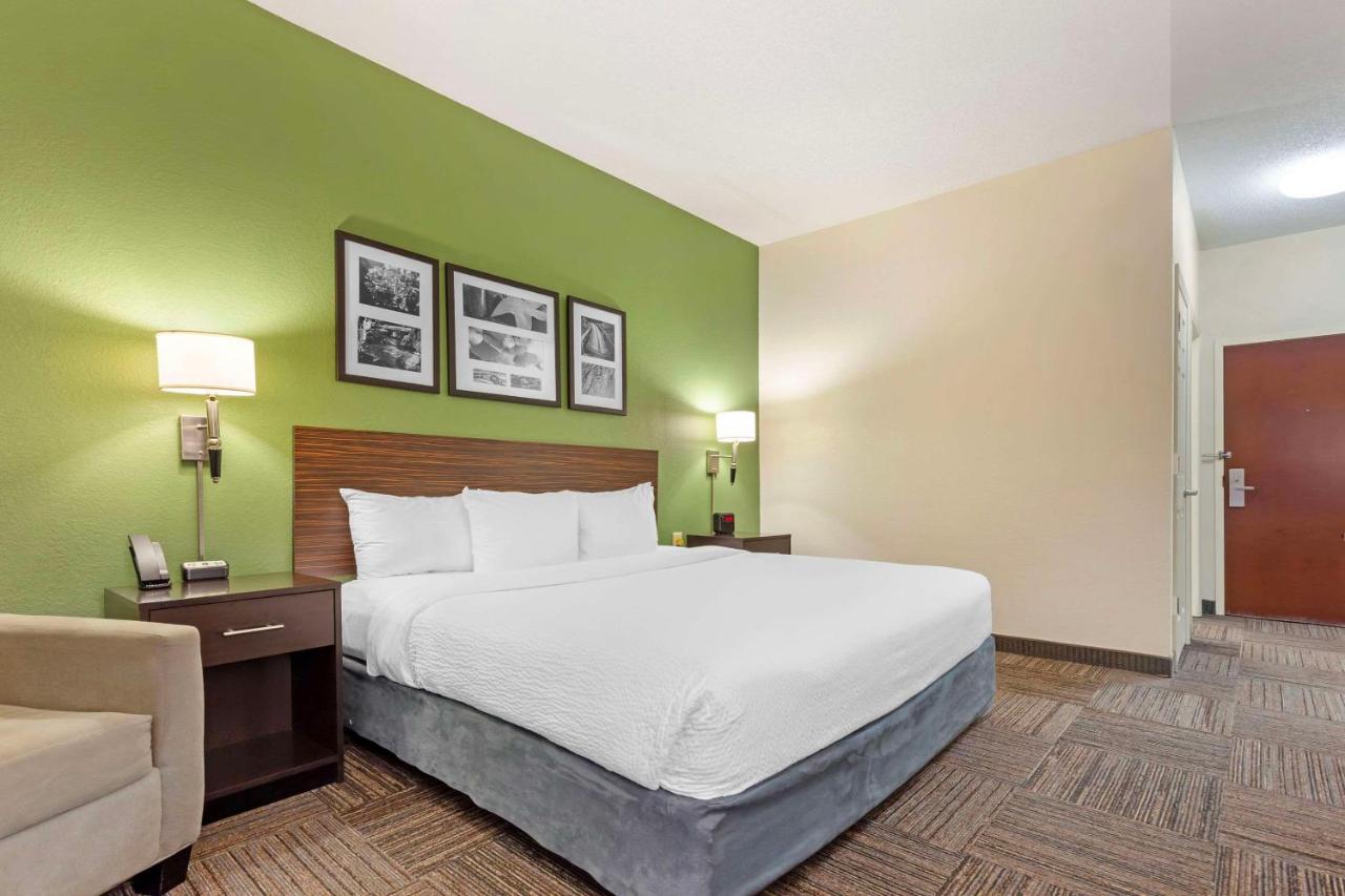 King Room at Sleep Inn & Suites Danville Hwy 58