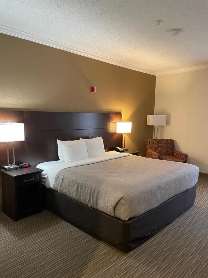 King Room with Roll-In Shower - Accessible/Non-Smoking at Quality Inn & Suites Seabrook - NASA - Kemah