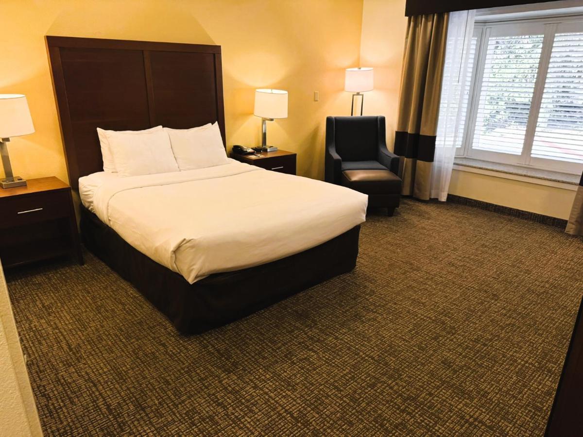 Queen Room - Accessible/Non-Smoking at Comfort Inn Monterey Peninsula Airport