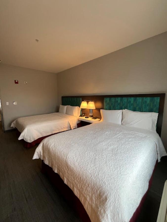 Queen Room with Two Queen Beds - Disability Access Hearing Accessible at Hampton Inn Montrose