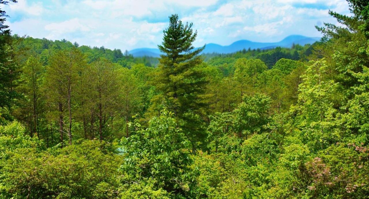 | Long Mountain Lodge Bed & Breakfast