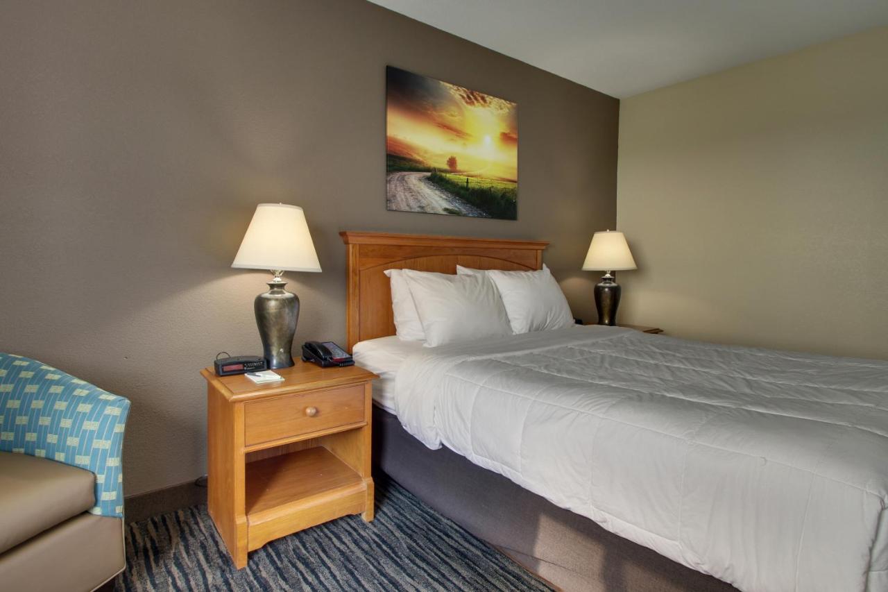 Single Room at EverSpring Inn & Suites