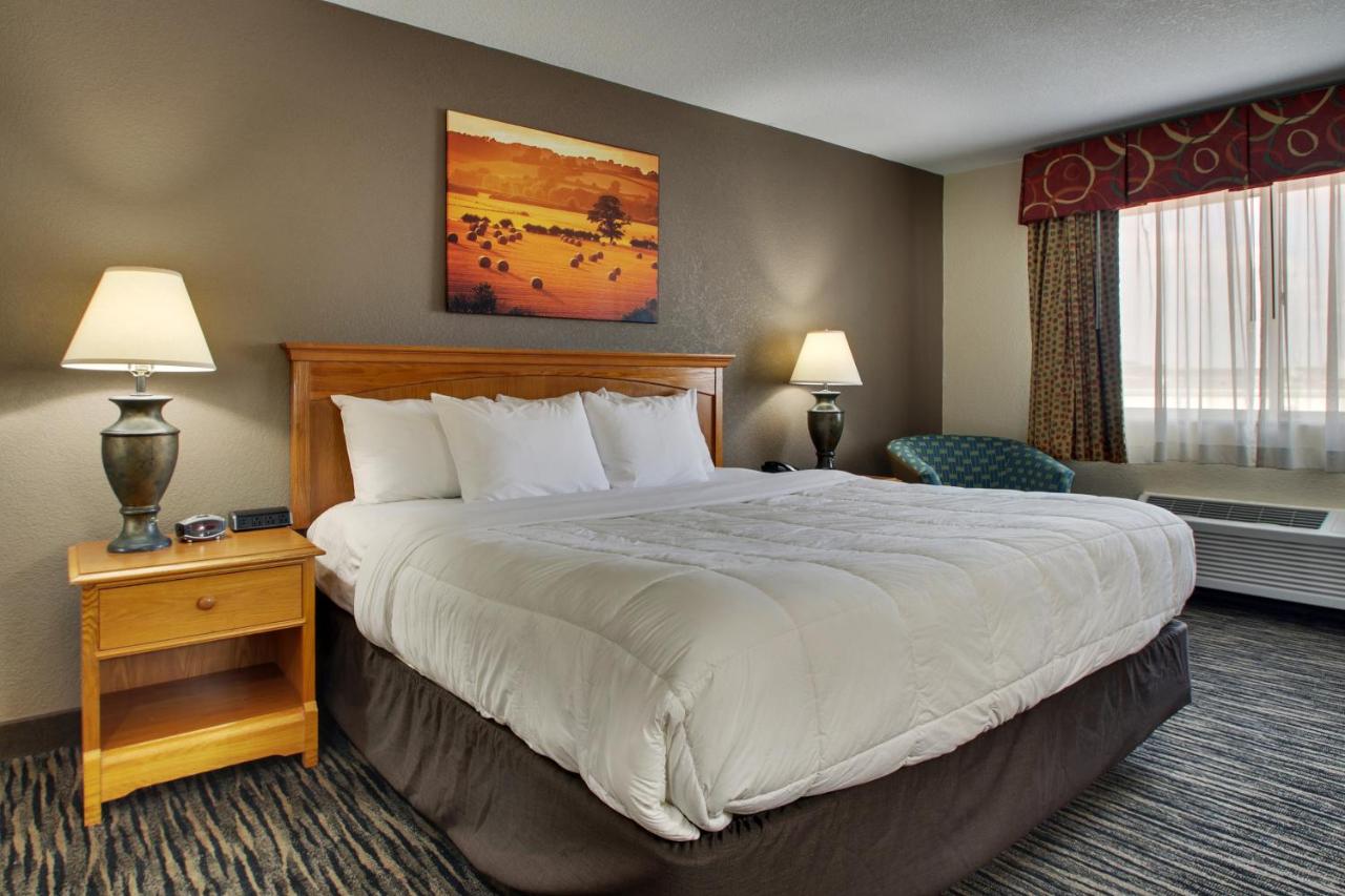 Standard Single Room at EverSpring Inn & Suites