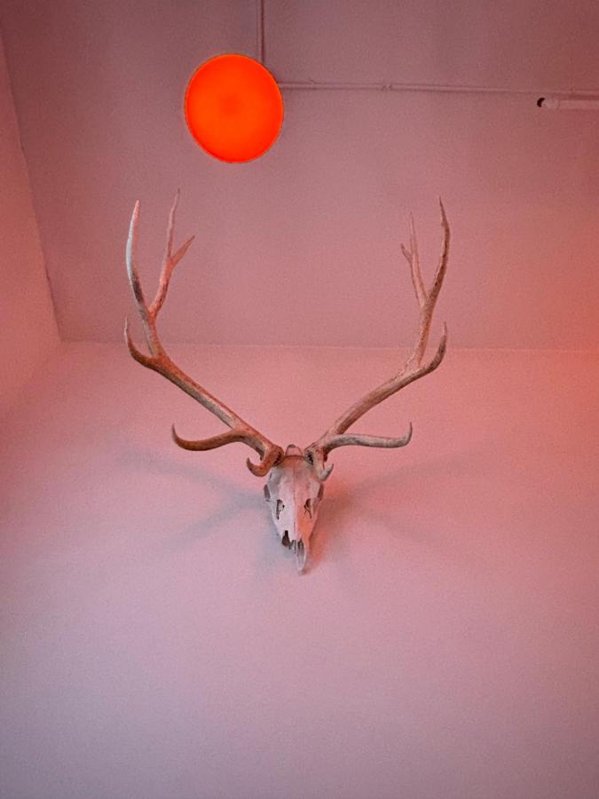| Ace Hotel Seattle