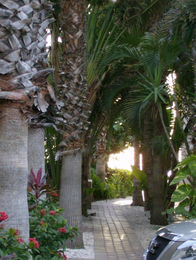  | Turtle Crawl Inn - Longboat Key
