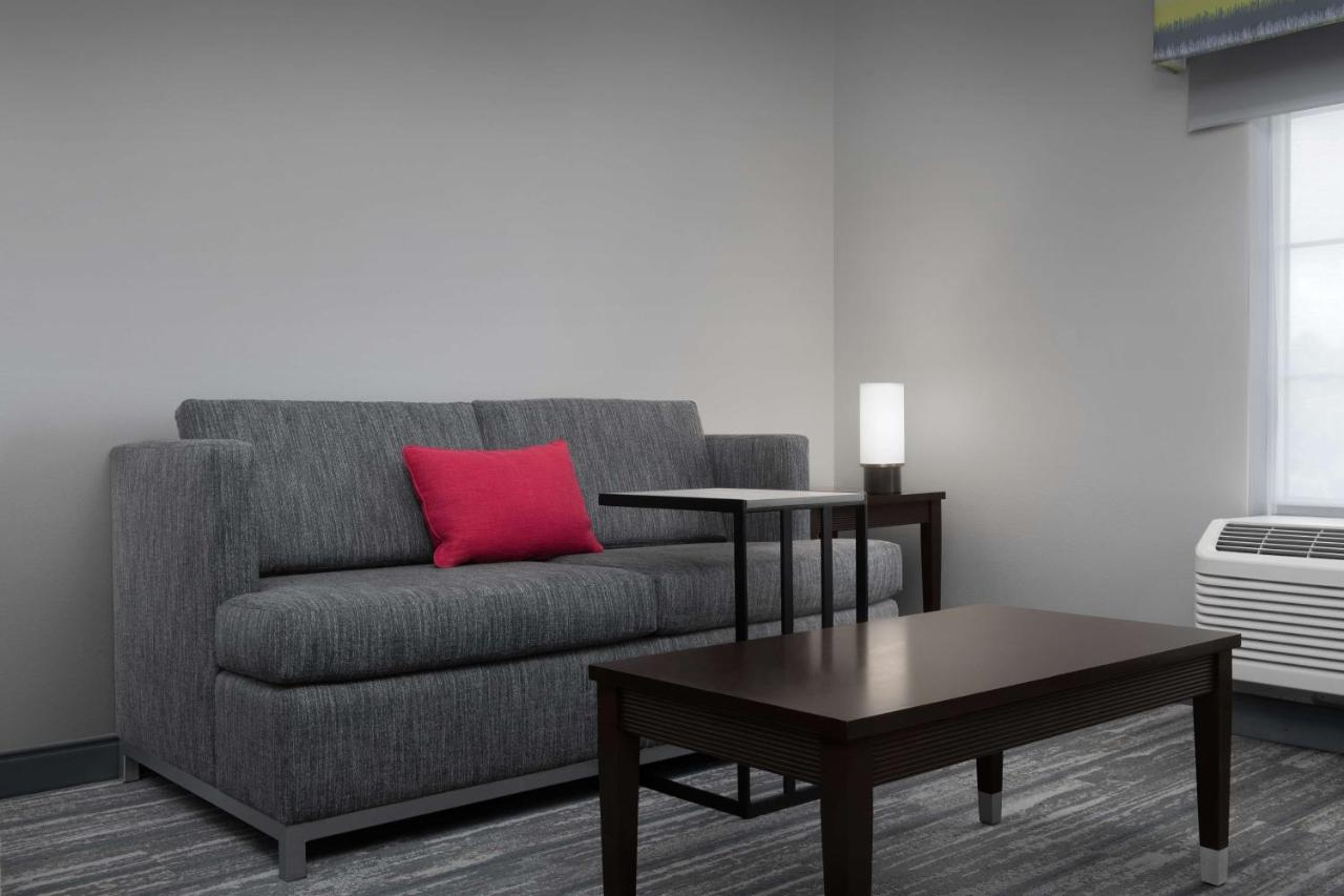King Study with Sofa Bed - Non-Smoking at Hampton Inn Statesboro
