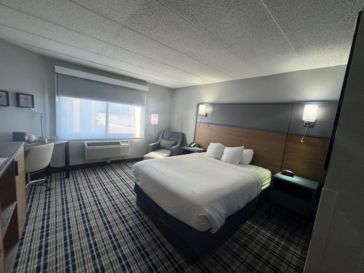 Premier King Room - Non-Smoking at AmericInn by Wyndham Albert Lea