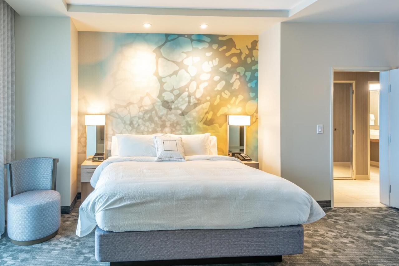Guest room, 1 King, Sofa bed at Courtyard by Marriott Charleston-North Charleston