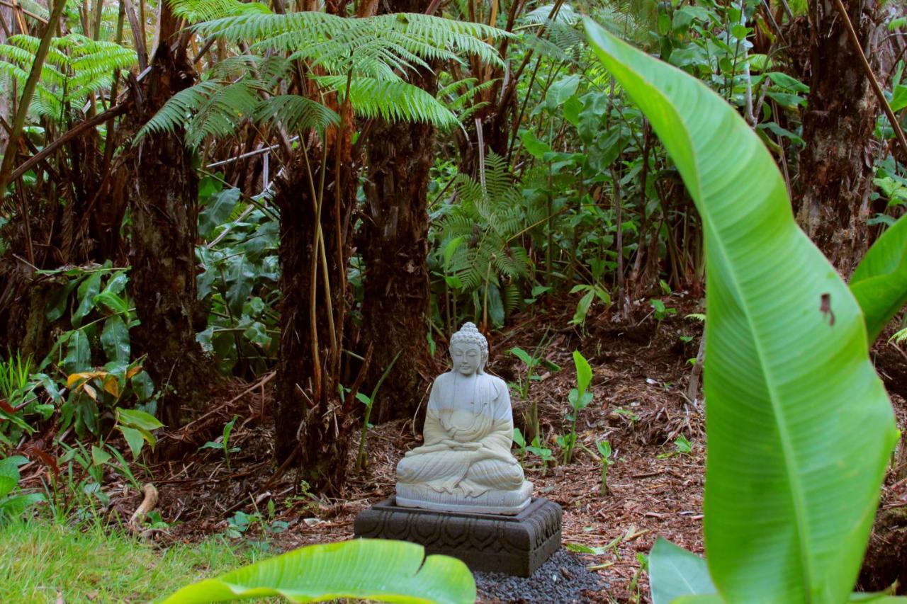 | Lotus Garden Cottages