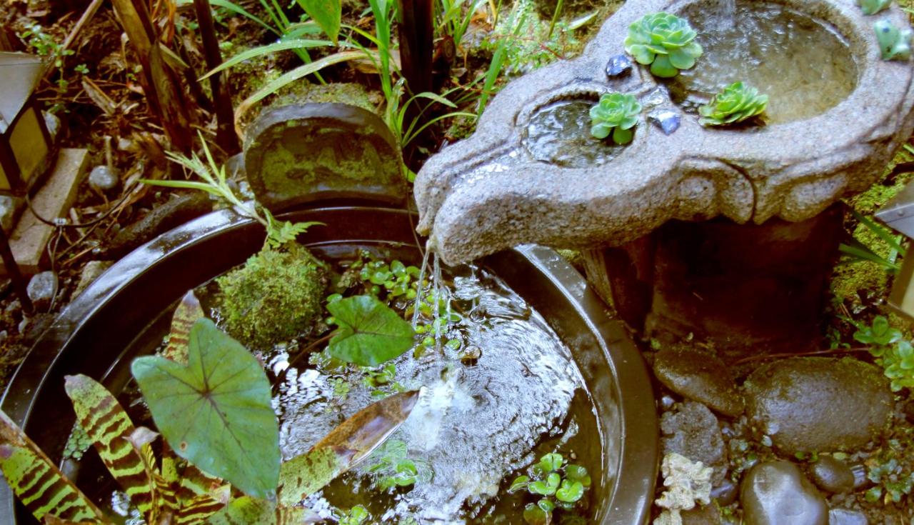 | Lotus Garden Cottages