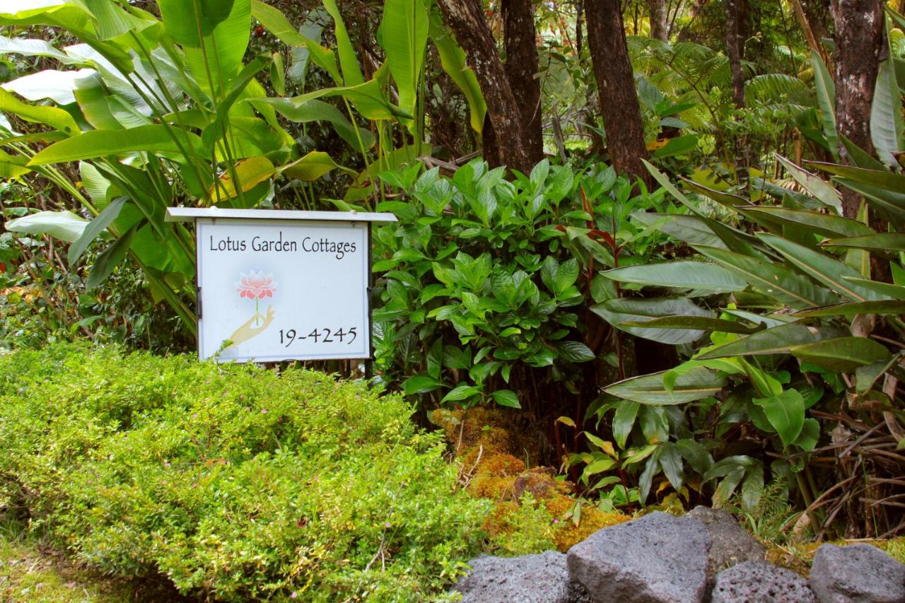 | Lotus Garden Cottages
