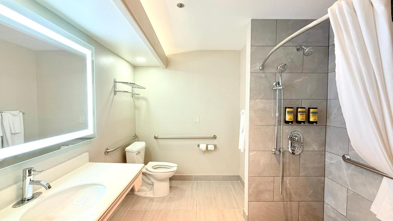 King Room with Bath Tub - Disability Access/Non-Smoking at Best Western Plus Suites Hotel - LAX Airport LA Stadium
