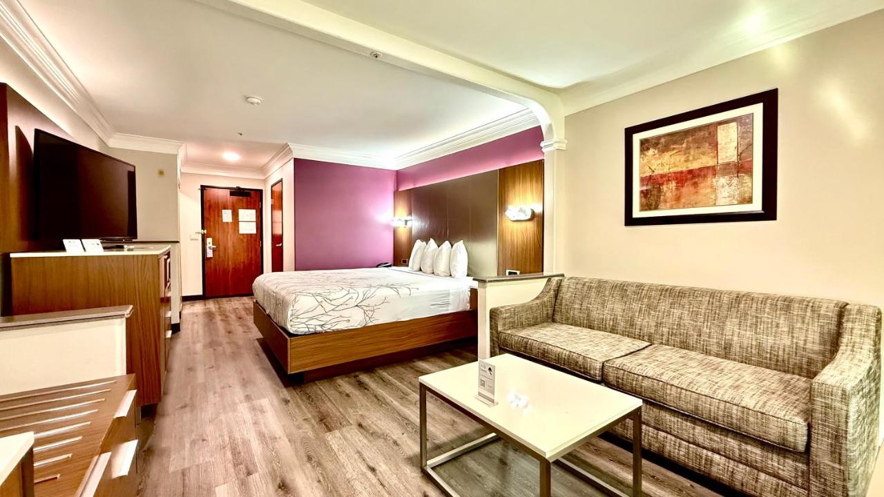 King Room - Non-Smoking at Best Western Plus Suites Hotel - LAX Airport LA Stadium