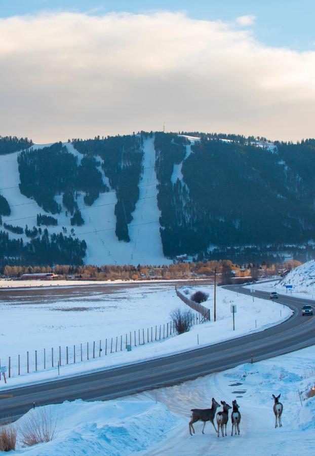  | Elk Refuge Inn