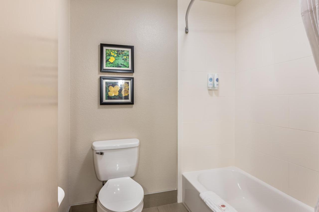 King Room - Non-Smoking at Comfort Inn & Suites Conway