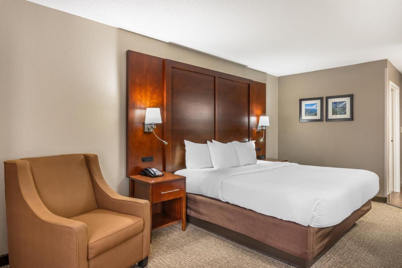 King Room - Non-Smoking at Comfort Inn & Suites Conway