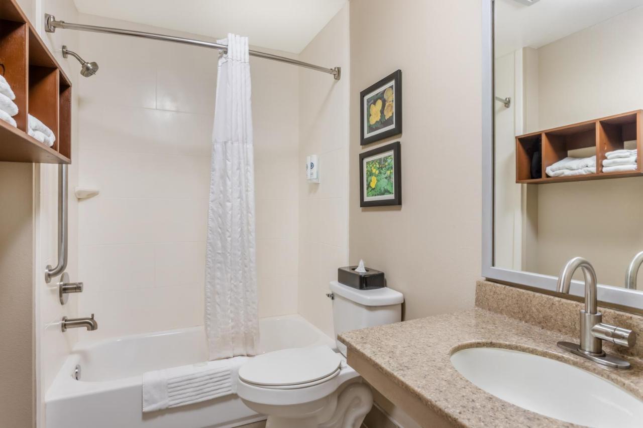 Superior Queen Room - Non-Smoking at Comfort Inn & Suites Conway