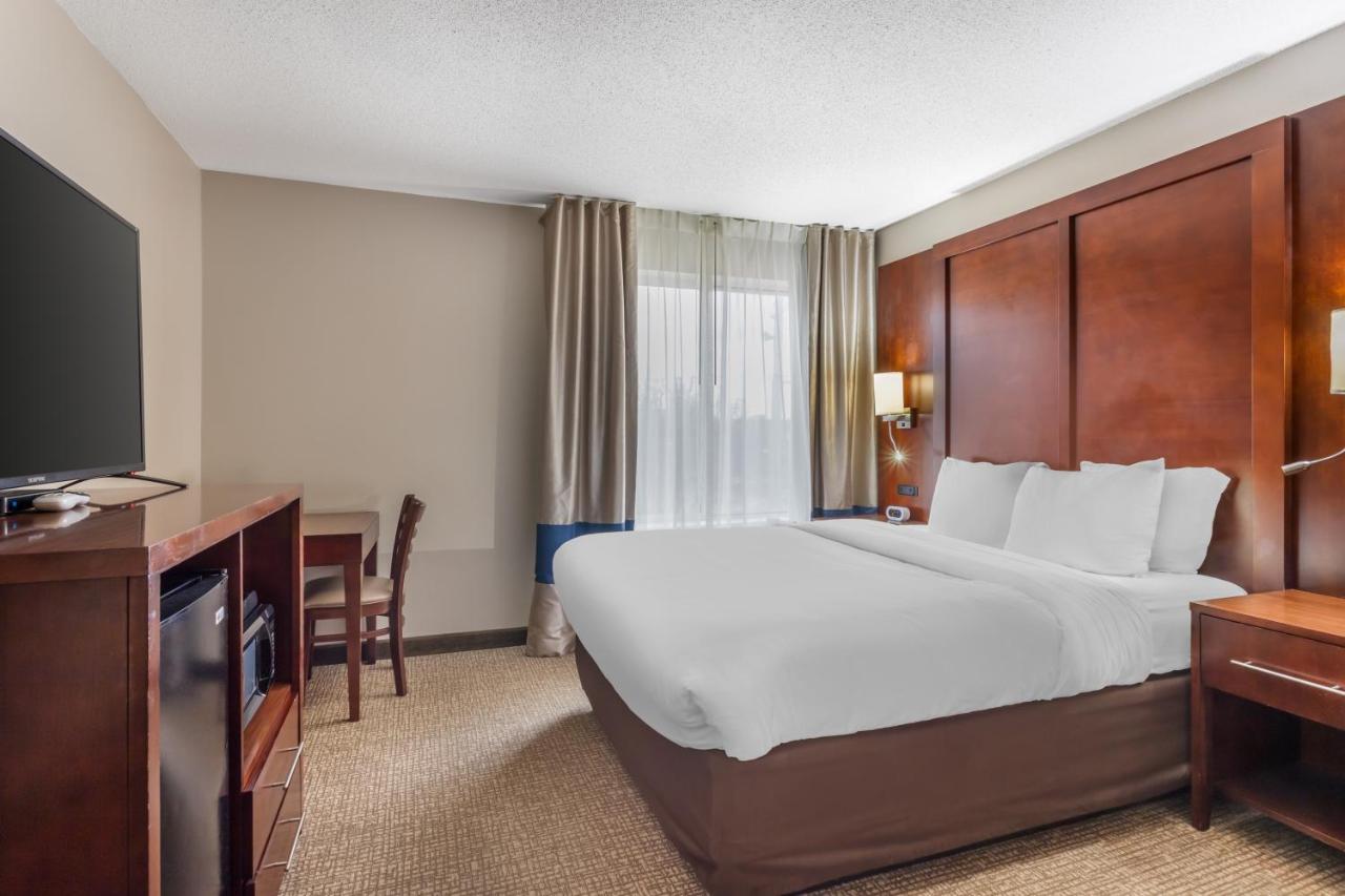 Superior Queen Room - Non-Smoking at Comfort Inn & Suites Conway