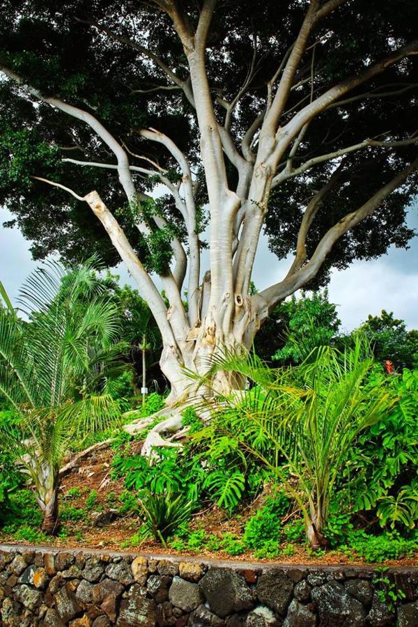 | Banyan Tree Sanctuary Guest House