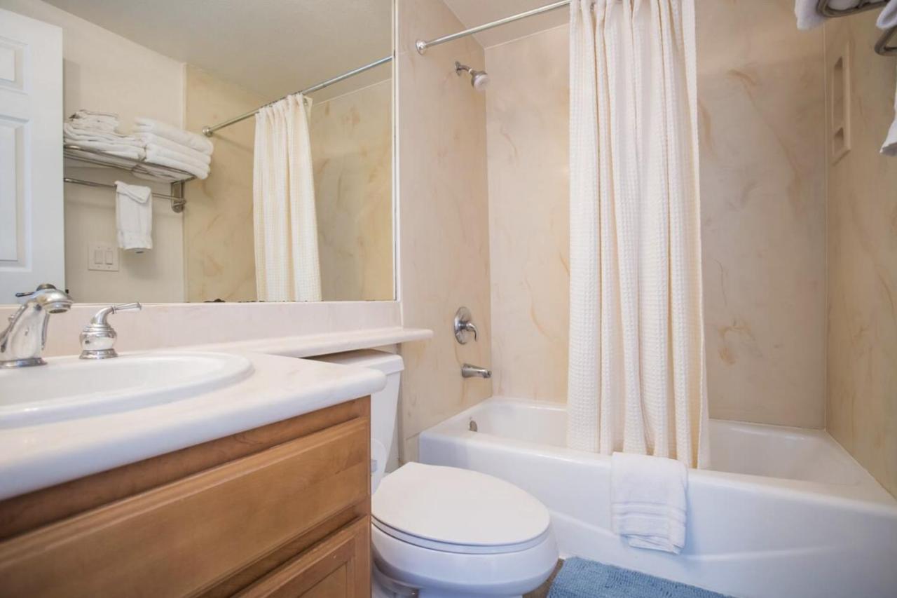 | Little Italy Modern Lofts