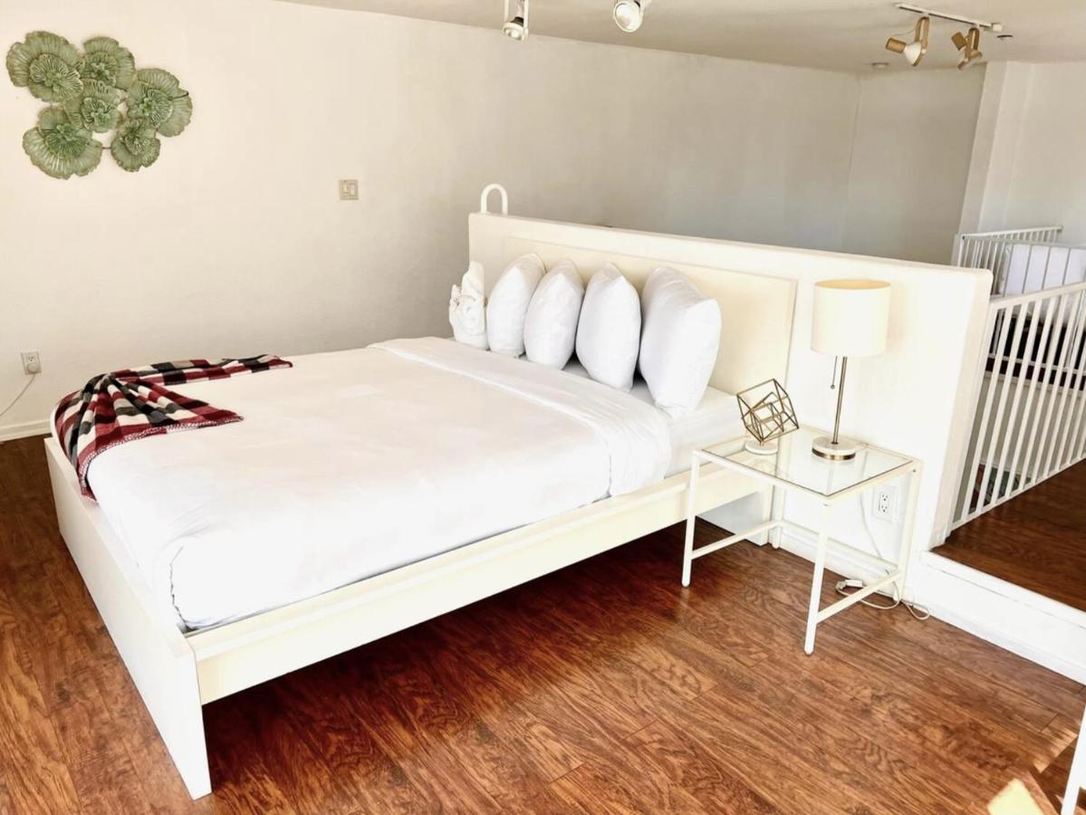 | Little Italy Modern Lofts