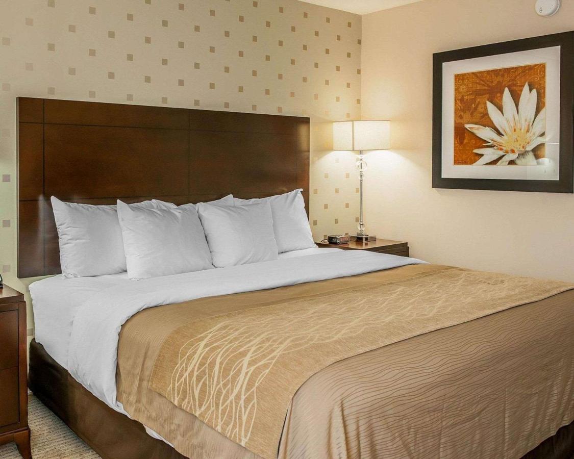 King Room - Non-Smoking at Comfort Inn Bloomington near University