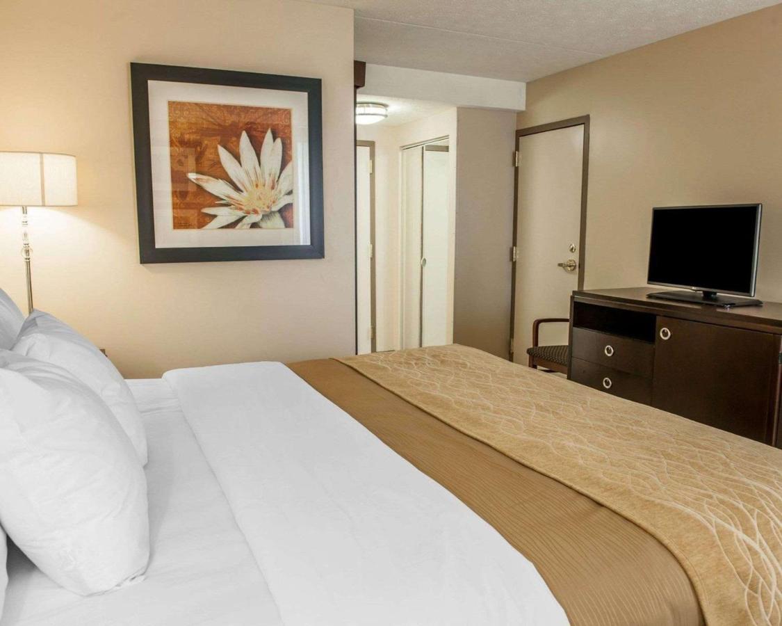 King Room - Non-Smoking at Comfort Inn Bloomington near University