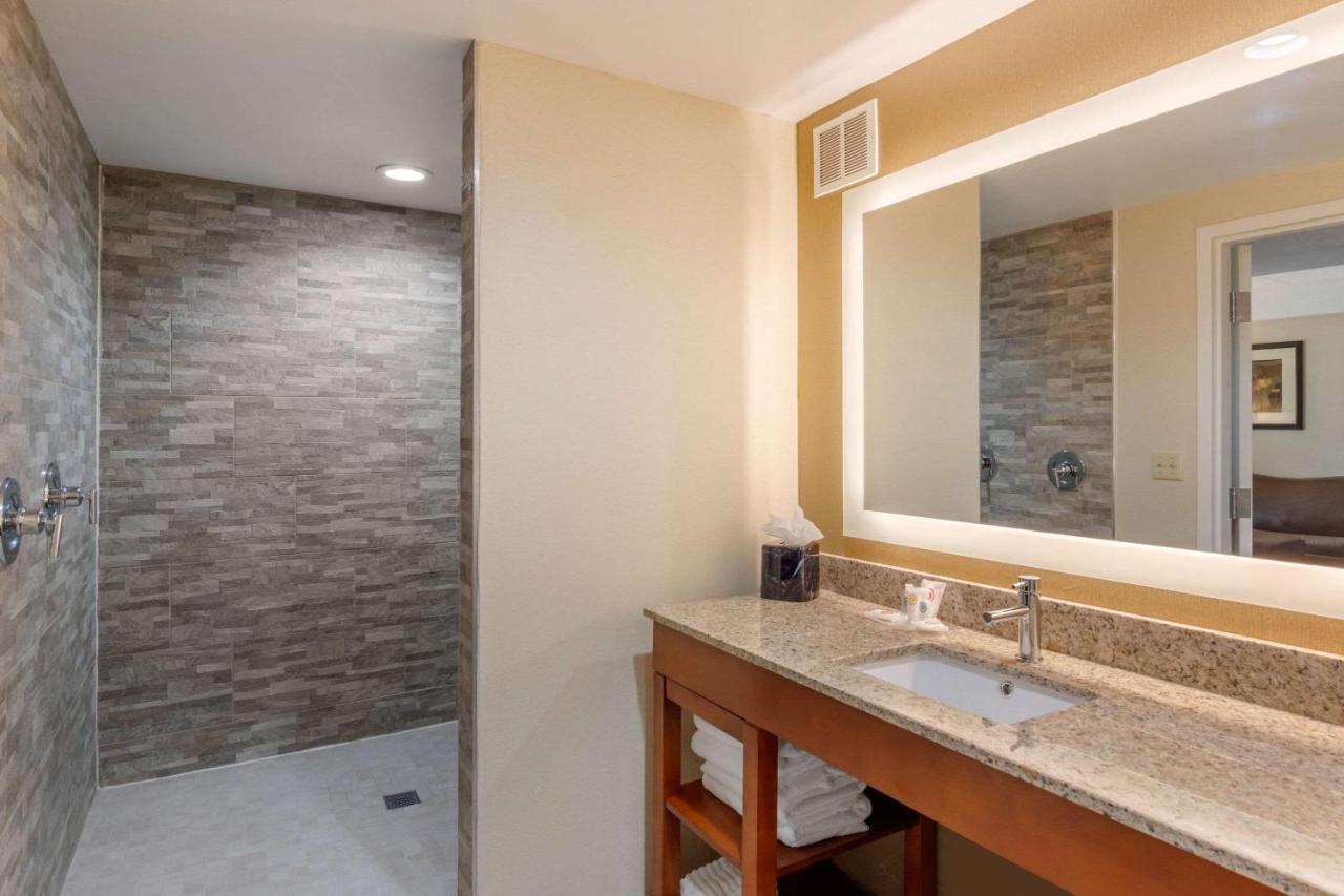 Standard King Suite - Non-Smoking at Comfort Suites South Park