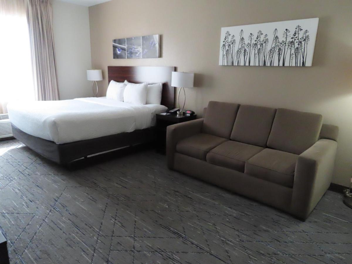 King Suite with Sofa Bed - Non-Smoking at Sleep Inn & Suites Denver International Airport