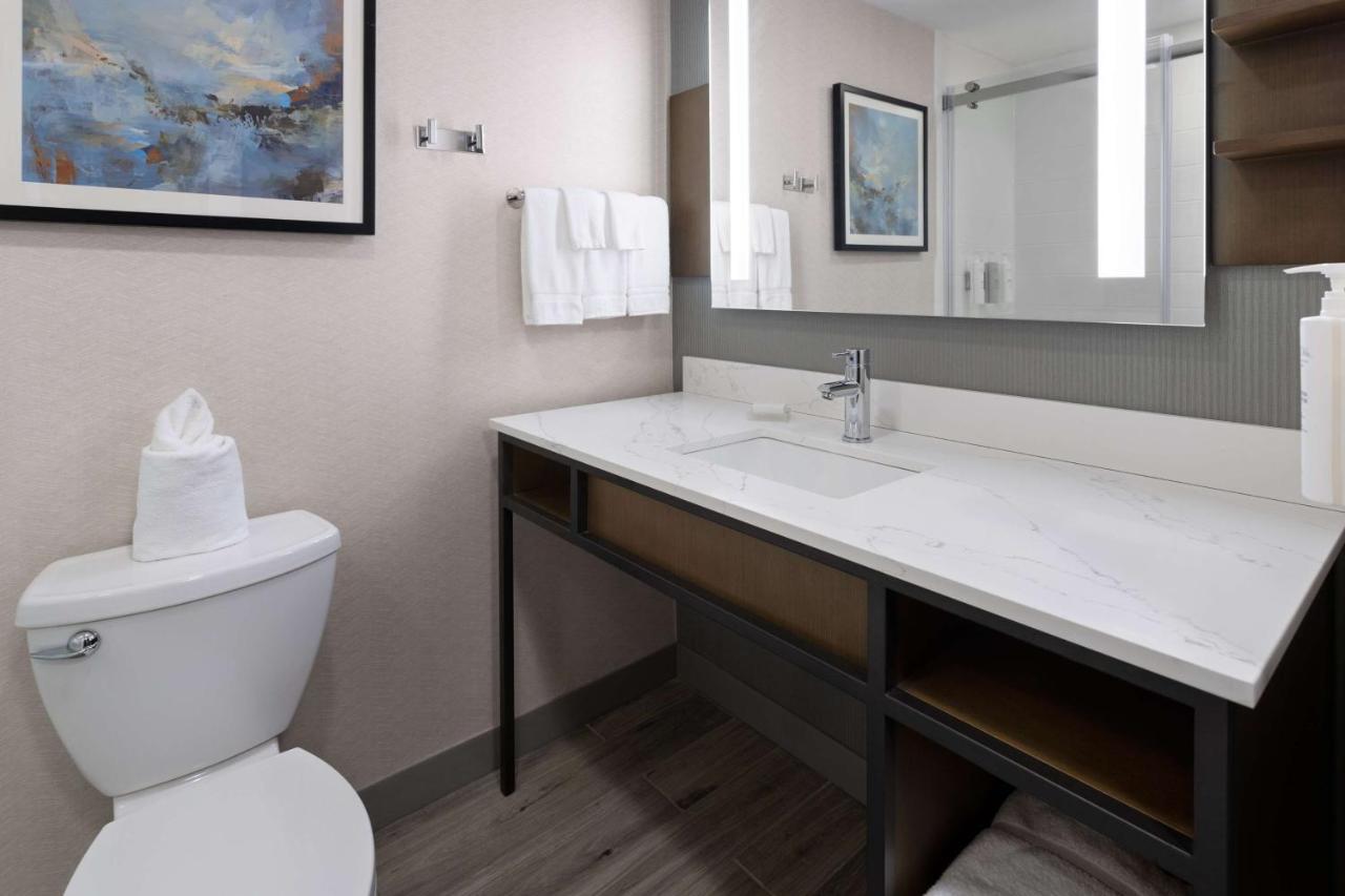 King Room - Evolution at Hilton Garden Inn Winston-Salem/Hanes Mall