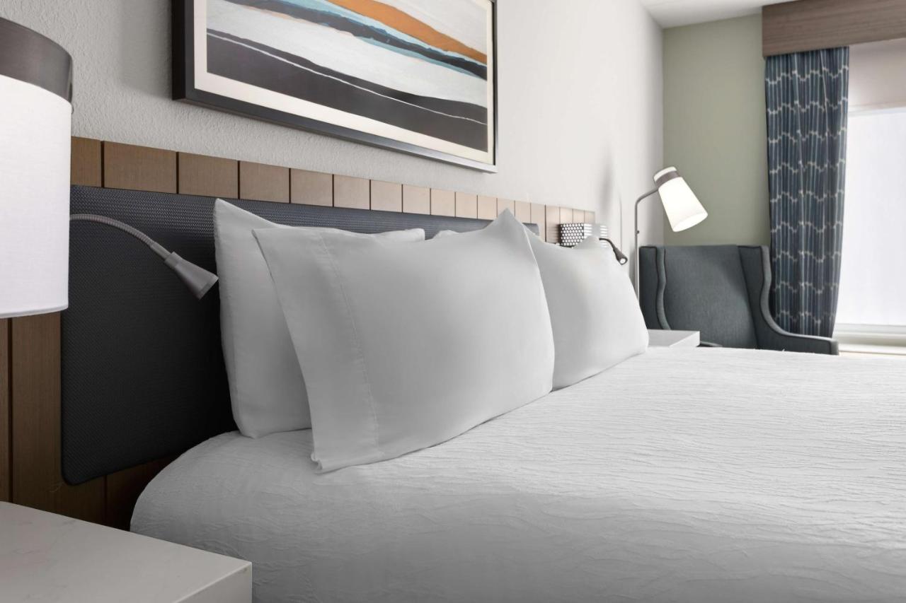King Room - Evolution at Hilton Garden Inn Winston-Salem/Hanes Mall