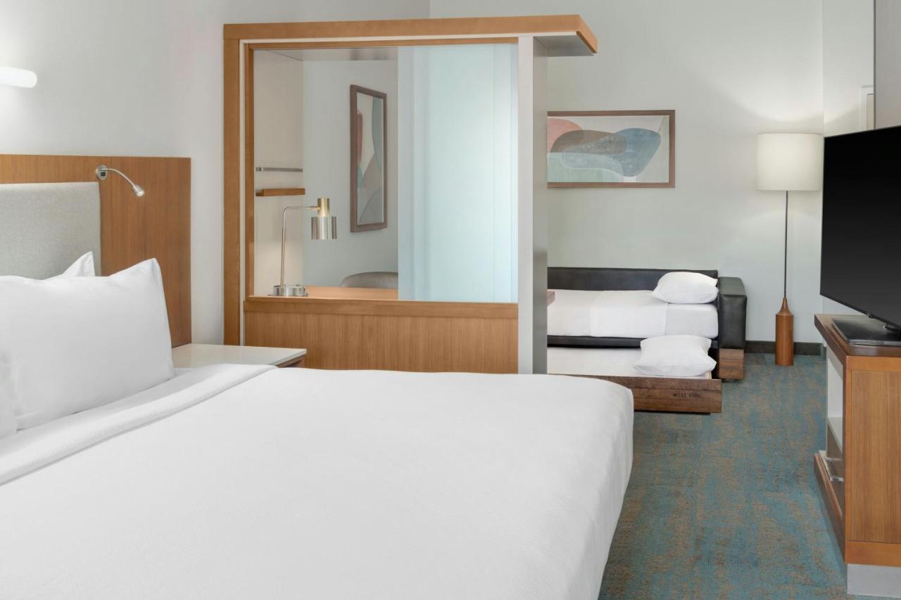 King Studio with Sofa Bed at SpringHill Suites Detroit Auburn Hills