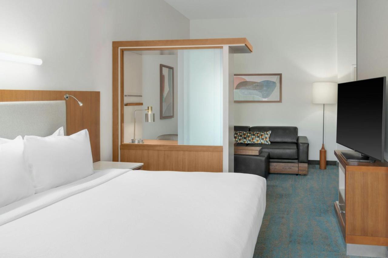 King Studio with Sofa Bed at SpringHill Suites Detroit Auburn Hills