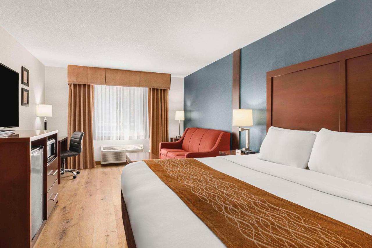 King Suite with Sofa Bed at Comfort Inn & Suites Vancouver Downtown City Center