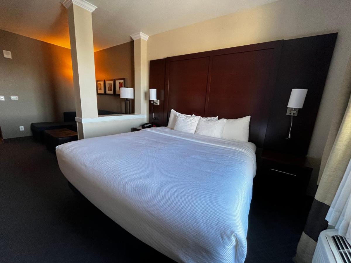 King Suite - Accessible/Non-Smoking at Comfort Suites Denver International Airport