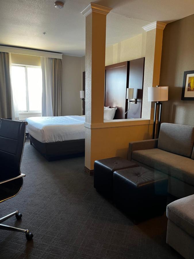 King Suite - Accessible/Non-Smoking at Comfort Suites Denver International Airport
