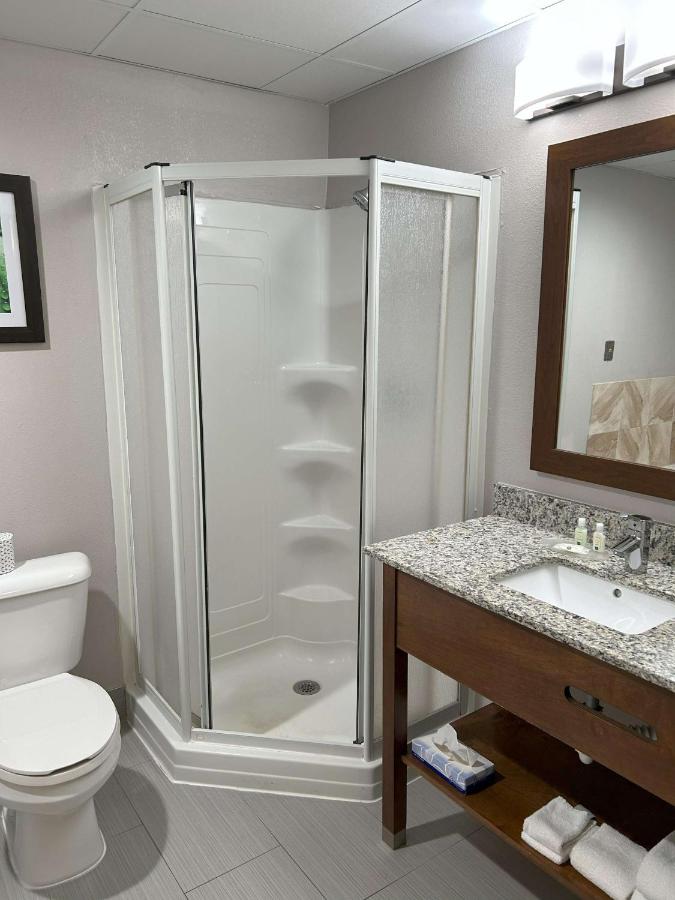 King Room - Accessible/Smoking at Quality Inn & Suites Tarboro - Kingsboro