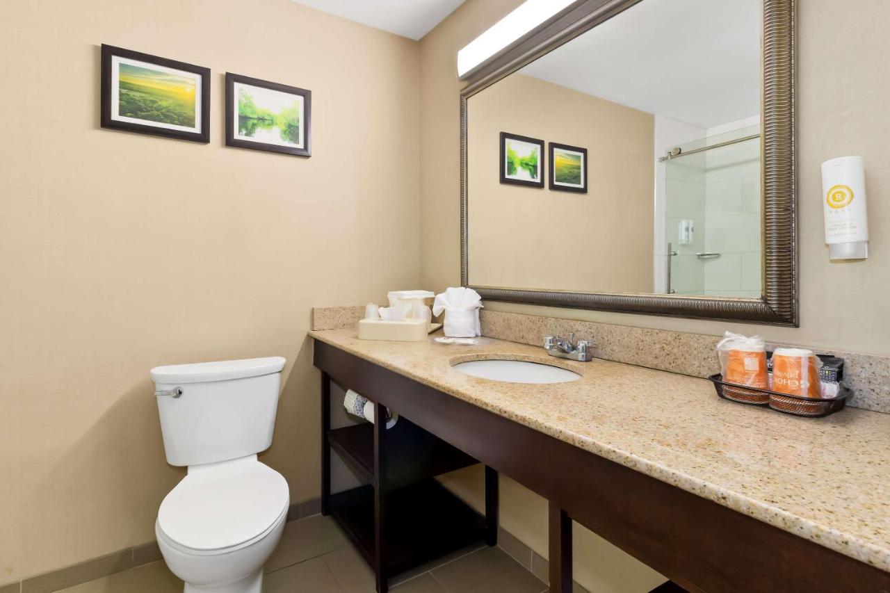 King Suite - Non-Smoking at Comfort Suites Lumberton North