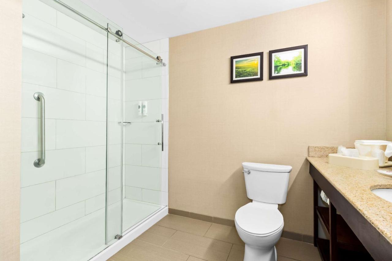 King Suite - Non-Smoking at Comfort Suites Lumberton North