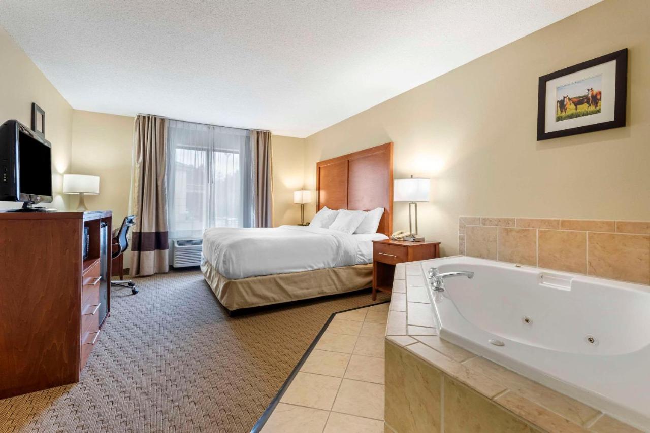 King Room - Non-Smoking at Comfort Inn & Suites Black River Falls I-94