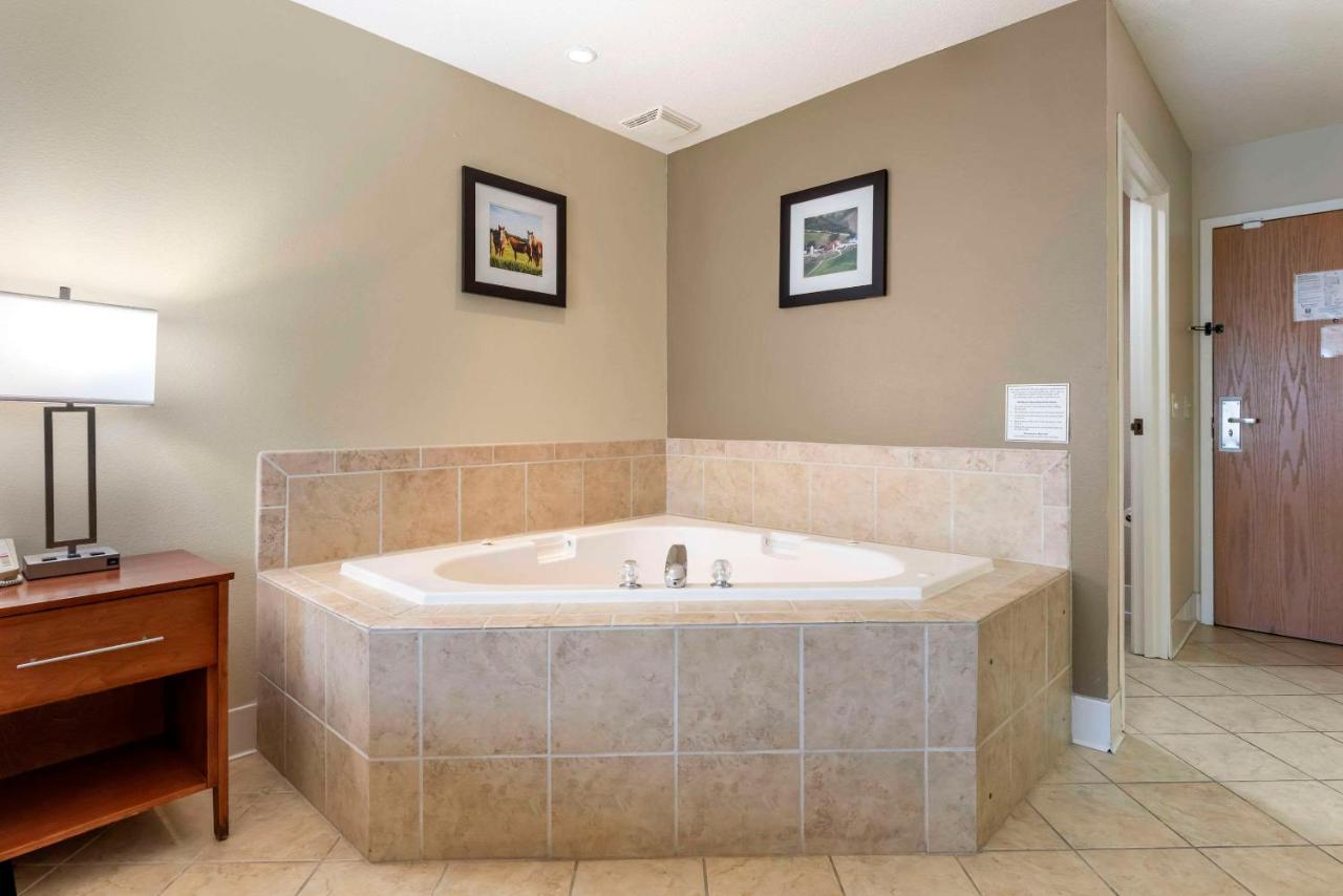 King Room - Non-Smoking at Comfort Inn & Suites Black River Falls I-94