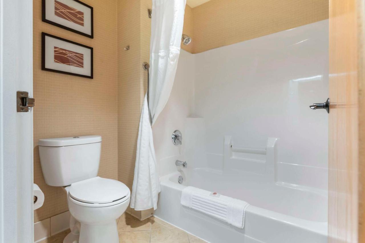 King Suite with Sofa Bed - Non-Smoking at Comfort Inn & Suites Black River Falls I-94