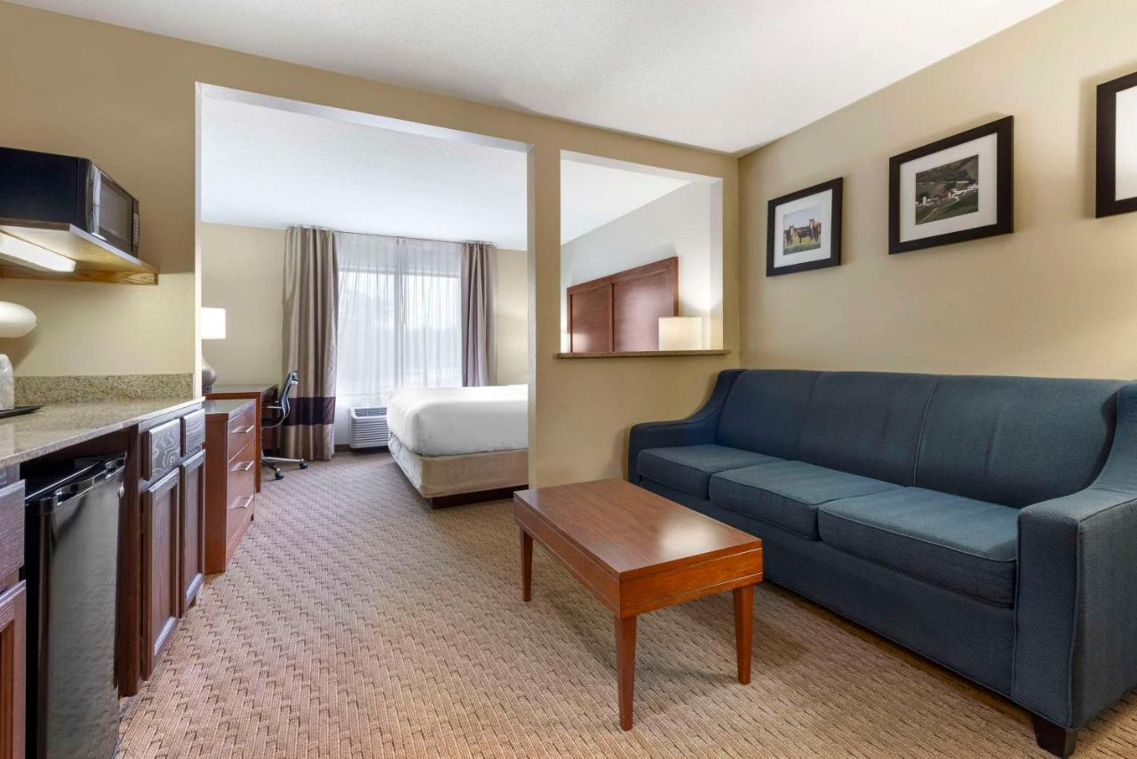 King Suite with Sofa Bed - Non-Smoking at Comfort Inn & Suites Black River Falls I-94