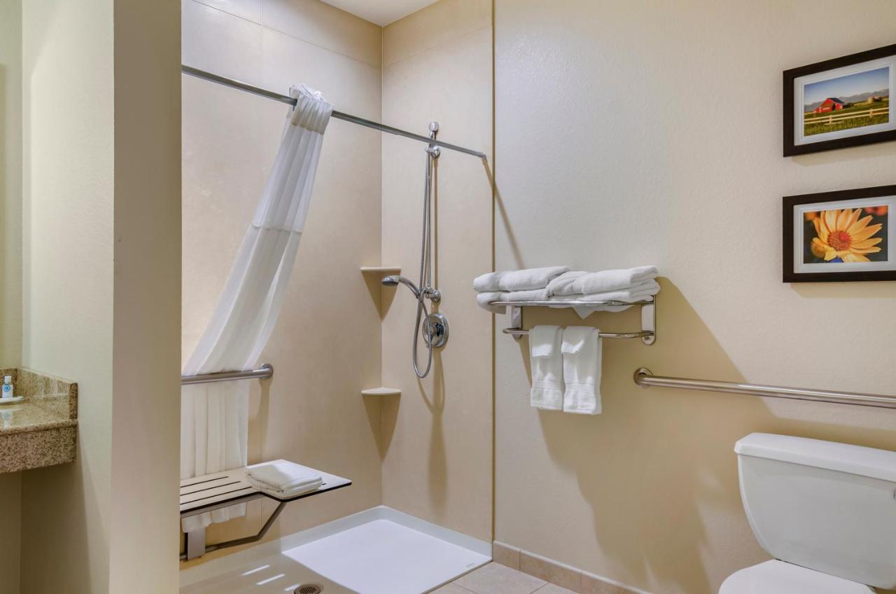 Standard King Suite with Transfer Shower - Accessible/Non-Smoking at Comfort Suites Helena Airport