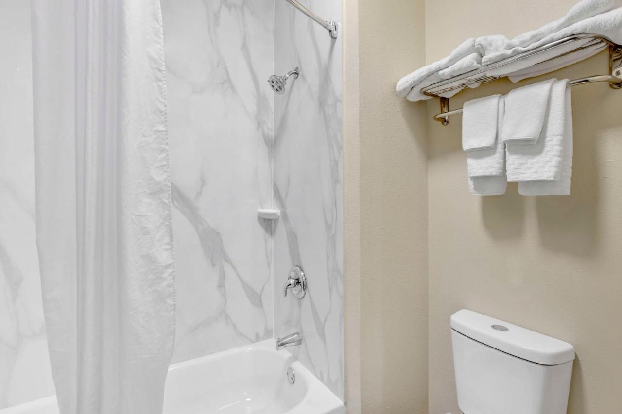 Queen Room with Two Queen Beds - Pet-friendly at Best Western Carlisle