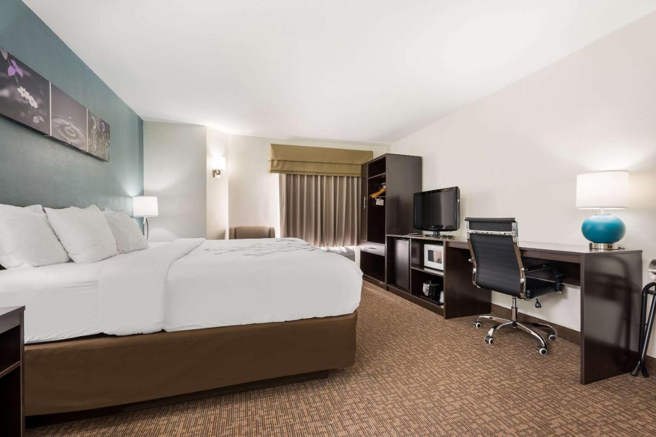 King Room - Non-Smoking at Sleep Inn & Suites Cullman I-65 exit 310
